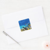 Colorful Clownfish Vierkante Sticker (Envelop)
