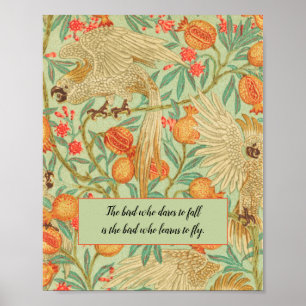 Colorful Cockato Bird Poster