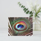 Colorful Copper Peacock Feather Briefkaart (Staand voorkant)