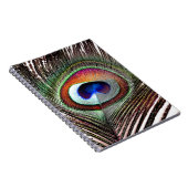 Colorful Copper Peacock Feather Notitieboek (Rechterzijde)
