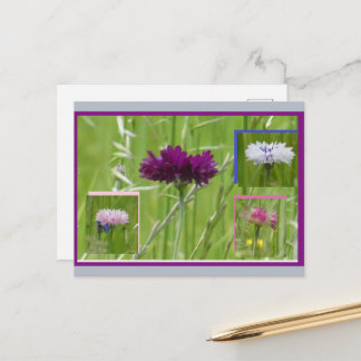 Colorful Cornflowers Collage DIY Postcard Feestdagenkaart