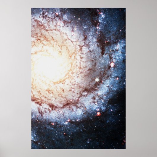 Colorful Cosmos Poster (Voorkant)