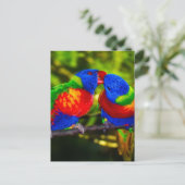 Colorful Couple of Parrots Briefkaart (Staand voorkant)