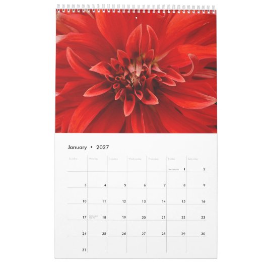 Colorful dahlia kalender (Jan 2027)