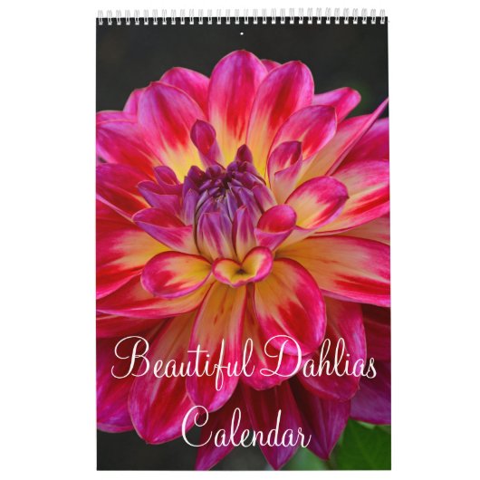 Colorful dahlia kalender (Hoes)