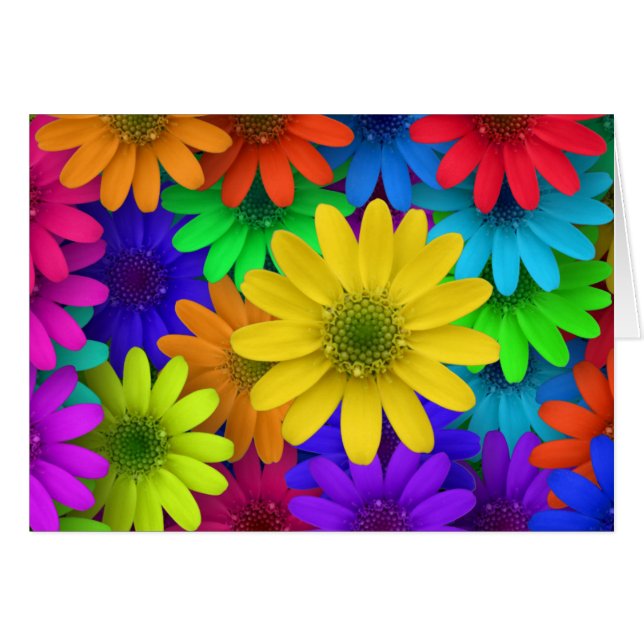 Colorful Daisies (Voorkant Horizontaal)