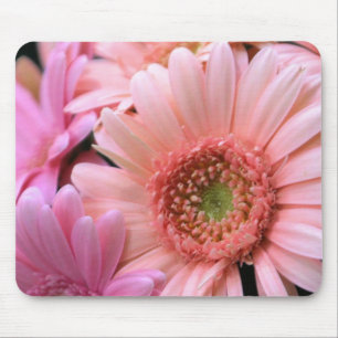 Colorful Daisies Muismat