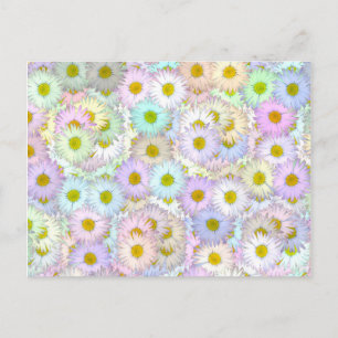 Colorful daisy bouquet - pastel briefkaart