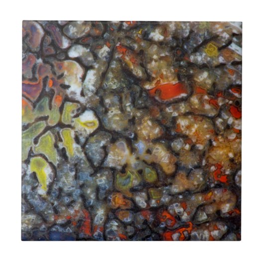 Colorful Dinosaur Bone Tegeltje (Voorkant)