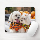 Colorful Dogs Muismat (Met muis)