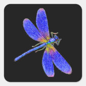 Colorful Dragonfly Vierkante Sticker (Voorkant)