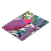 Colorful eclectus parrot notitieboek (Linkerzijde)