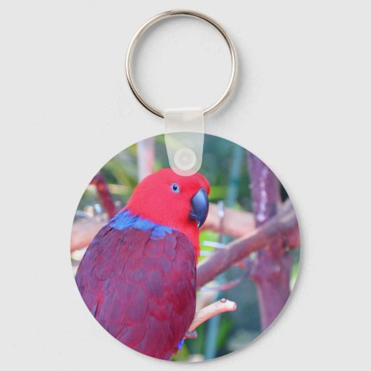 Colorful eclectus parrot sleutelhanger (Voorkant)