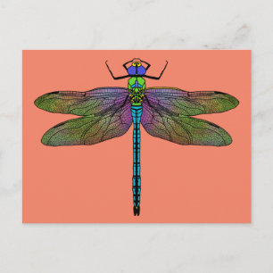 Colorful Emperor Dragonfly Art Briefkaart