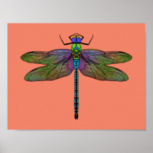 Colorful Emperor Dragonfly Art Poster
