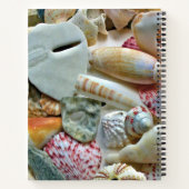 Colorful Florida Seashells Personalized Journal Notitieboek (Achterkant)