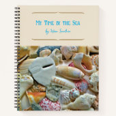 Colorful Florida Seashells Personalized Journal Notitieboek (Voorkant)