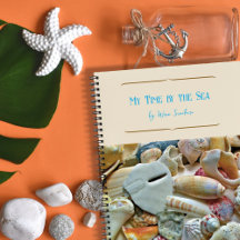 Colorful Florida Seashells Personalized Journal