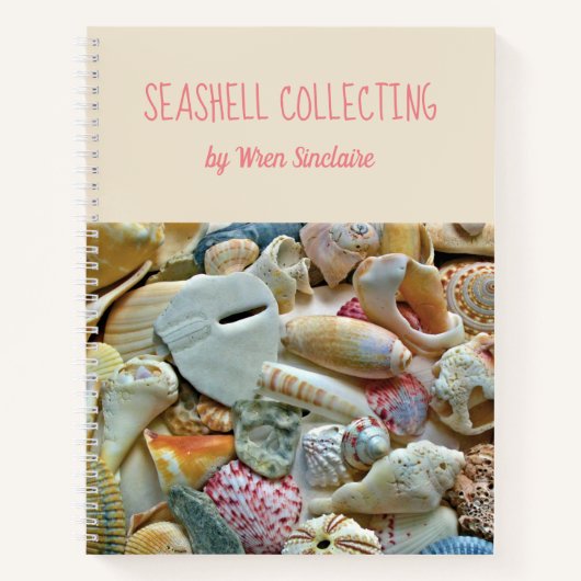 Colorful Florida Seashells Personalized Journal Notitieboek (Voorkant)