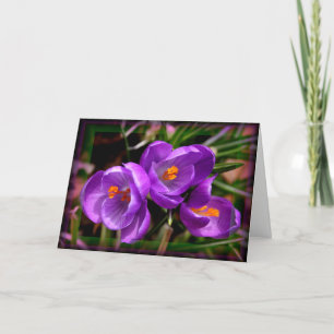 [Colorful Flowers] Crocus vernus - Elke keer Kaart