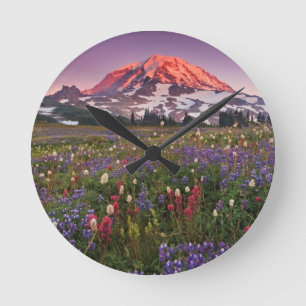 Colorful Flowers in Rainier National Park Ronde Klok
