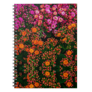 Colorful Flowers Notitieboek