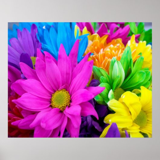 Colorful Flowers Poster (Voorkant)