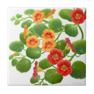 Colorful Garden Nasturtium Flowers Tile Tegeltje