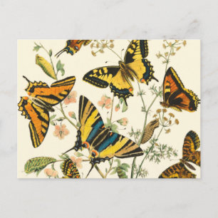 Colorful Gathering of Butterflies and Caterpillars Briefkaart