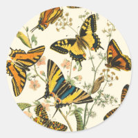 Colorful Gathering of Butterflies and Caterpillars