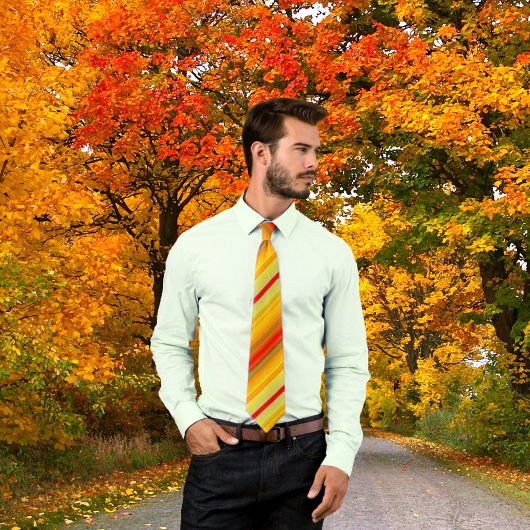 Colorful Geometric Striped Pattern Stropdas