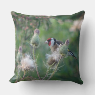 Colorful Goldfinch op Thistle Sierkussen