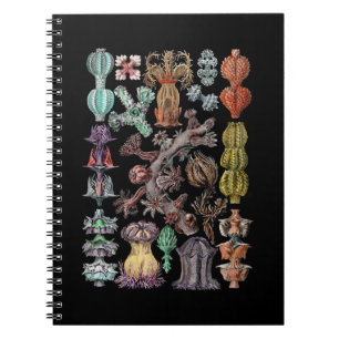 Colorful Gorgonide Zee Coral and Sponges Notitieboek