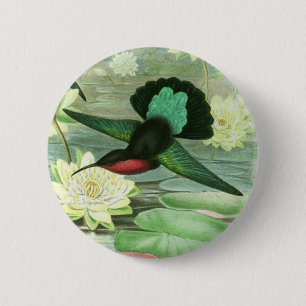 Colorful Gould Hummingbird Round Button Pin