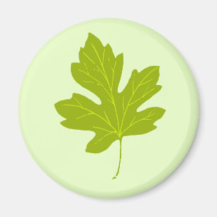 Colorful Green Autumn Leaf Magnet Magneet
