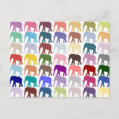 Colorful Herd Briefkaart (Voorkant)