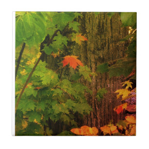 Colorful herfst leaf tegeltje