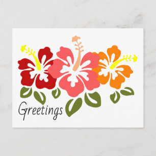 Colorful Hibiscus Trio Briefkaart