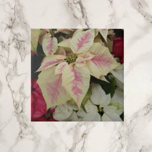 Colorful Holiday Poinsettias Floral Tegeltje
