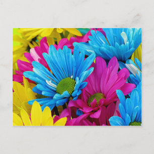 Colorful Hot Pink Blauwgroen Blue Gerber Daisies F Briefkaart