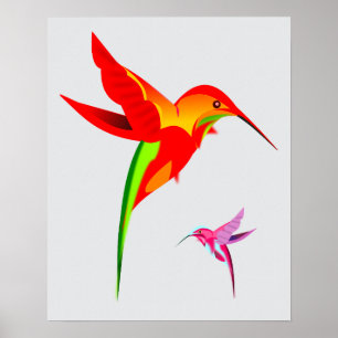 Colorful Hummingbird Drawing Poster