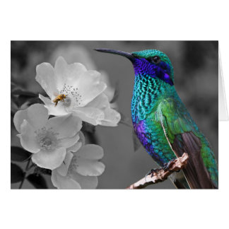 Colorful Hummingbird, Flowers and Bee Card