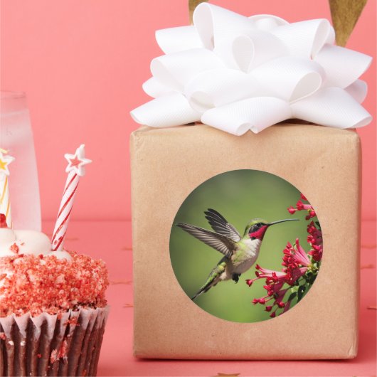 Colorful Hummingbird Ronde Sticker (Feest)