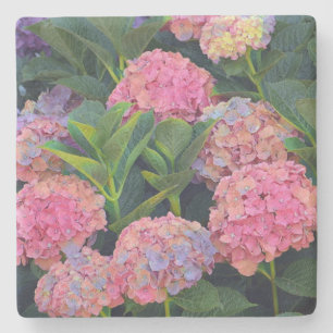 Colorful Hydrangea Stenen Onderzetter