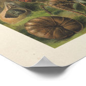 Colorful  Insect Illustratie Poster (Hoek)