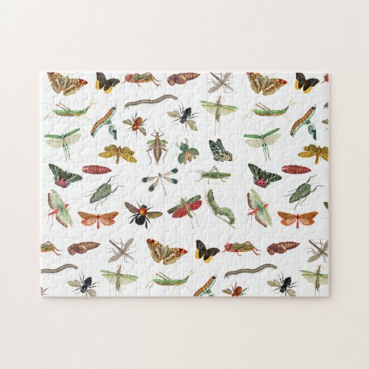 Colorful  Insect Illustrator Patroon Legpuzzel (Horizontaal)