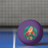 Colorful Iris Flower Pingpongballen (Net)