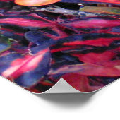 Colorful Ivy - Poster (Hoek)