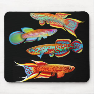 Colorful Killifish Mousepad Muismat