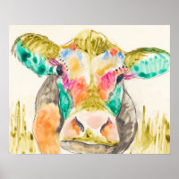 Colorful Koe Design